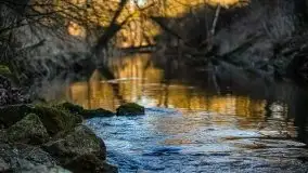 Zachód przy zwalony moście i jeziorze Patelnia, Kruklanki 03.2020 - zdjęcie 34