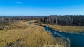 Jezioro Białoławki w marcowym słońcu - zdjęcie 9