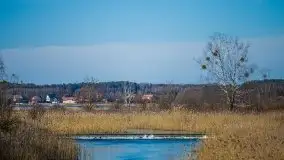 Jezioro Białoławki w marcowym słońcu - zdjęcie 17