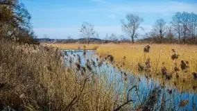 Jezioro Białoławki w marcowym słońcu - zdjęcie 21