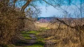 Jezioro Białoławki w marcowym słońcu - zdjęcie 24