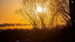 Kal i jezioro Mamry w marcowym słońcu - zdjęcie 14