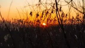 Kal i jezioro Mamry w marcowym słońcu - zdjęcie 46