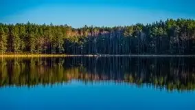 Jezioro Wesołek w marcu 2020 - zdjęcie 37