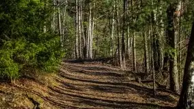 Jezioro Wesołek w marcu 2020 - zdjęcie 17