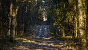 Jezioro Wesołek w marcu 2020 - zdjęcie 2