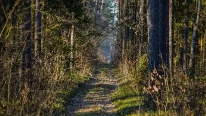 Jezioro Wesołek w marcu 2020