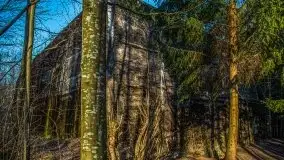 Mamerki i okolice pod koniec marca 2020 - zdjęcie 1