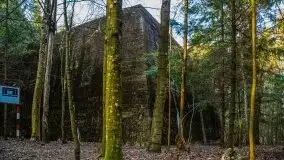 Mamerki i okolice pod koniec marca 2020 - zdjęcie 31