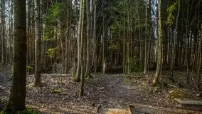 Mamerki i okolice pod koniec marca 2020 - zdjęcie 35