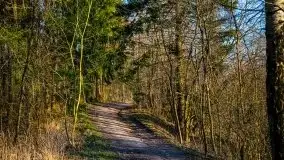 Śluza w Leśniewie w kolorach zachodzącego słońca - zdjęcie 7