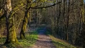 Śluza w Leśniewie w kolorach zachodzącego słońca - zdjęcie 10