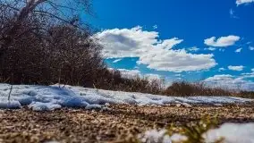 Kanał Szymoński w marcu 2020 - zdjęcie 42