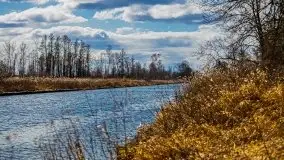 Kanał Szymoński w marcu 2020 - zdjęcie 15