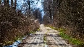 Kanał Szymoński w marcu 2020 - zdjęcie 13