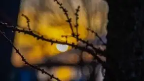 Tło Dla Mew i Marina Rydzewo w kolorach zachodu słońca - zdjęcie 31