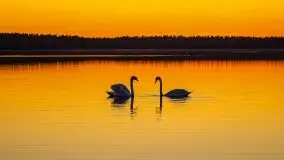 Pierkunowo i jezioro Kisajno w kwietniowym słońcu - zdjęcie 21