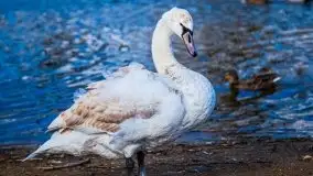 Pisz w kwietniowych promieniach słońca - zdjęcie 24