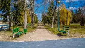 Pisz w kwietniowych promieniach słońca - zdjęcie 84