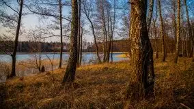 Złote jezioro Dejguny w kwietniowym słońcu - zdjęcie 14