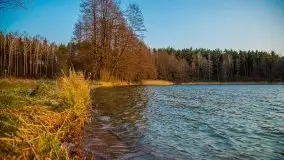 Złote jezioro Dejguny w kwietniowym słońcu - zdjęcie 26