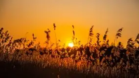 Złote jezioro Dejguny w kwietniowym słońcu - zdjęcie 35