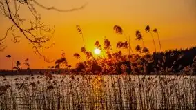 Złote jezioro Dejguny w kwietniowym słońcu - zdjęcie 50