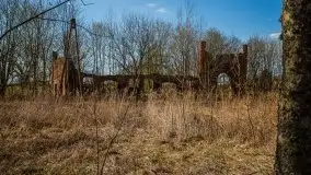 Ruiny Pałacu w Mieduniszkach Wielkich - zdjęcie 12