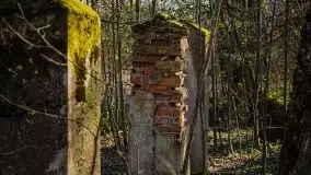 Ruiny Pałacu w Mieduniszkach Wielkich - zdjęcie 21