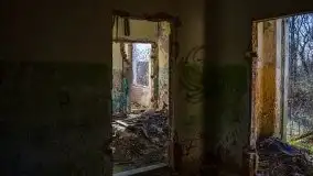 Ruiny Pałacu w Mieduniszkach Wielkich - zdjęcie 52