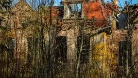 Ruiny Pałacu w Mieduniszkach Wielkich - zdjęcie 63