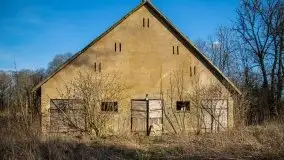 Ruiny Pałacu w Mieduniszkach Wielkich - zdjęcie 73