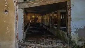 Ruiny Pałacu w Mieduniszkach Wielkich - zdjęcie 84