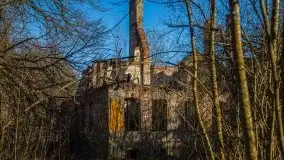 Ruiny Pałacu w Mieduniszkach Wielkich - zdjęcie 86