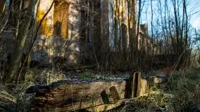 Ruiny Pałacu w Mieduniszkach Wielkich - zdjęcie 87