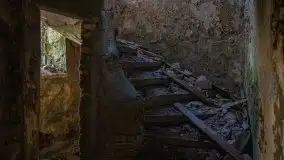 Ruiny Pałacu w Mieduniszkach Wielkich - zdjęcie 89