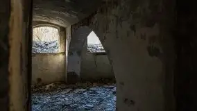 Ruiny Pałacu w Mieduniszkach Wielkich - zdjęcie 90