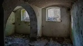 Ruiny Pałacu w Mieduniszkach Wielkich - zdjęcie 96