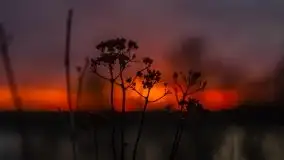 Zachód słońca nad jeziorem Jędzelewo, Stare Juchy - zdjęcie 39