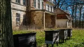 Pałac w Bęsi, na który rzucono klątwę - zdjęcie 45