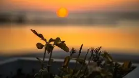 Wschód Słońca, Wilkasy, jezioro Niegocin - zdjęcie 4