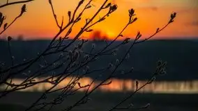 Wschód słońca, jezioro Buwełno - zdjęcie 20