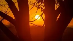 Wschód słońca, jezioro Buwełno - zdjęcie 53