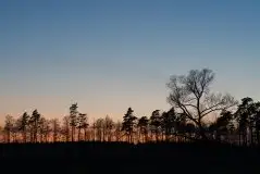 Zdjęcia: Mazurska wiosna na zdjęciach Janka Olchówki - zdjęcie 28