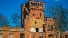 Zdjęcia: Pałac w Prośnie – monumentalna, romantyczna i tajemnicza ruina - zdjęcie 64