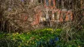 Zdjęcia: Pałac w Prośnie – monumentalna, romantyczna i tajemnicza ruina - zdjęcie 60