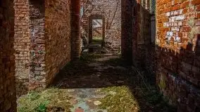 Zdjęcia: Pałac w Prośnie – monumentalna, romantyczna i tajemnicza ruina - zdjęcie 14