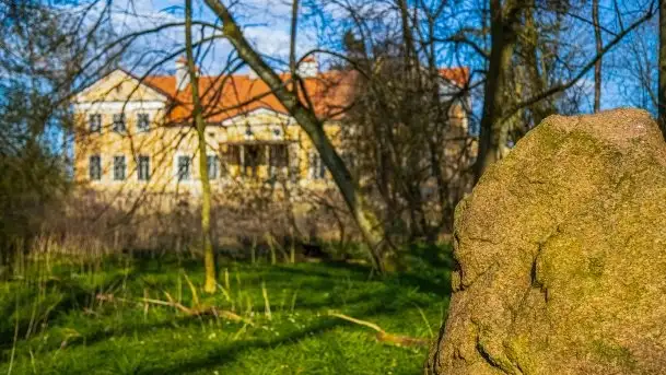 Zdjęcia: Pałac w Skandławkach – do kupienia romantyczna pozostałość dawnych Mazur - zdjęcie 8