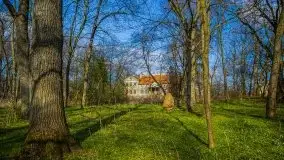 Zdjęcia: Pałac w Skandławkach – do kupienia romantyczna pozostałość dawnych Mazur - zdjęcie 32