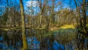 Zdjęcia: Pałac w Skandławkach – do kupienia romantyczna pozostałość dawnych Mazur - zdjęcie 37